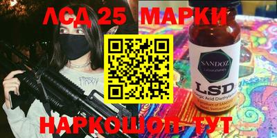 шишки Обнинск