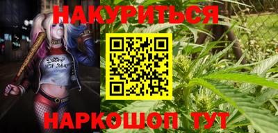 шишки Обнинск